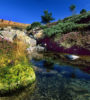 mont lozere tarn