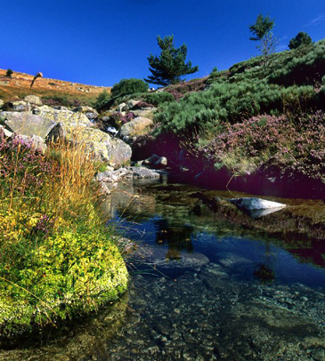 mont lozere tarn