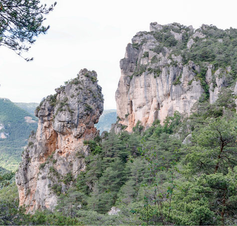 roche jonte