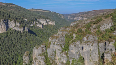 vue gorges jonte