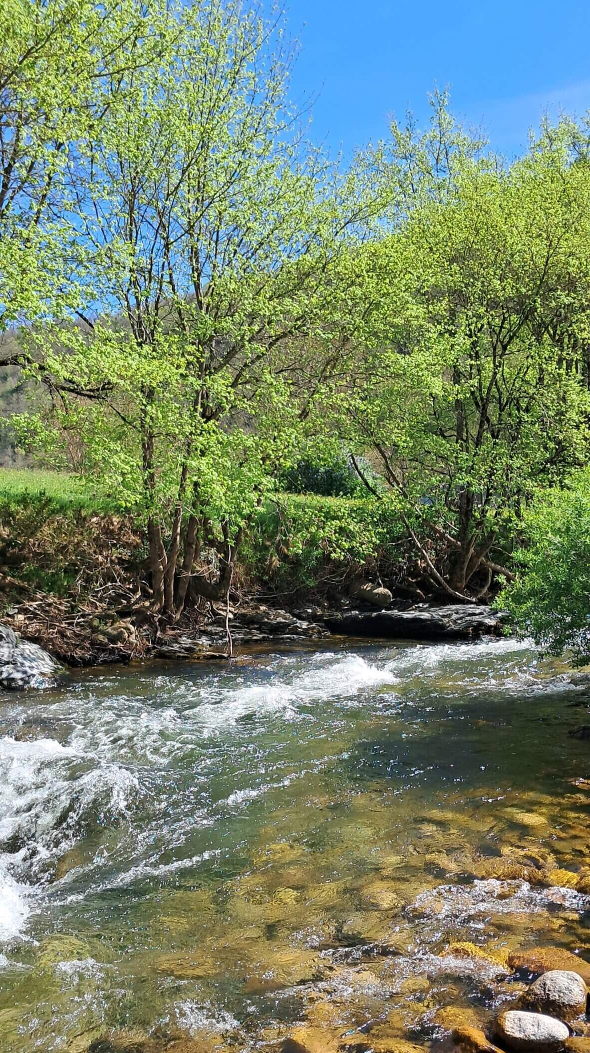 camping avec rivière dans les Gorges du Tarn